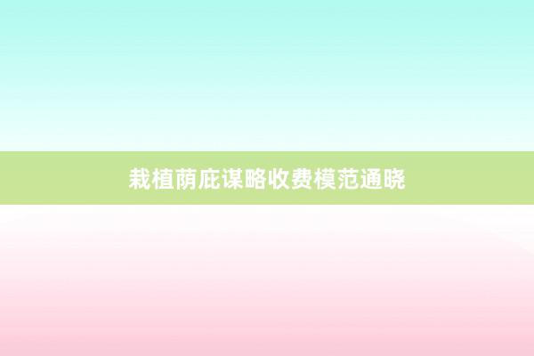 栽植荫庇谋略收费模范通晓
