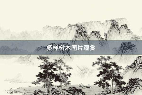多样树木图片观赏