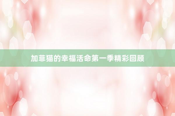 加菲猫的幸福活命第一季精彩回顾