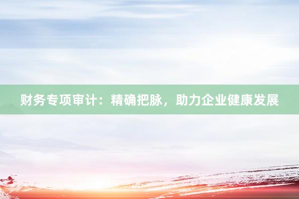 财务专项审计：精确把脉，助力企业健康发展